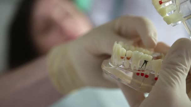 Dentista mostrando layout da mandíbula para mulher paciente — Vídeo de Stock