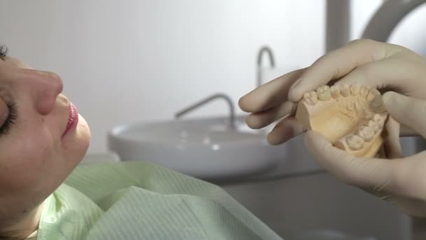 Dentista mostrando layout da mandíbula para mulher paciente — Vídeo de Stock