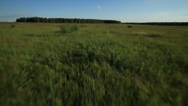 Aerial view over rural landscape in summer — Stock Video