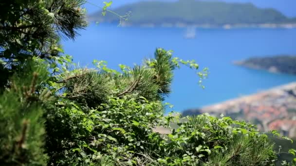 Blick von oben auf die Küste von Budva — Stockvideo