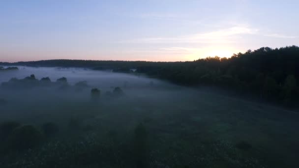 Туман на восходе солнца — стоковое видео