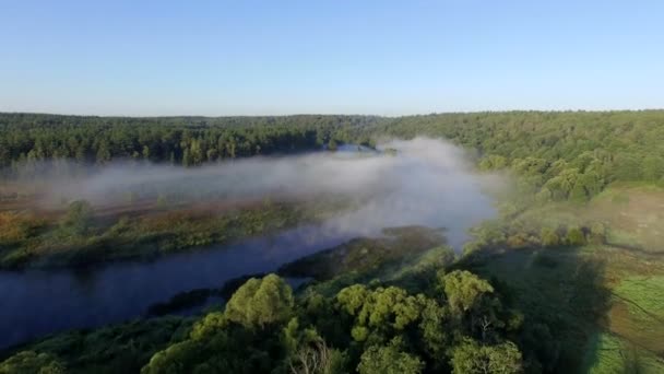 Mist bij zonsopgang — Stockvideo