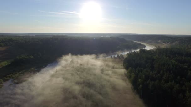 Brouillard au lever du soleil — Video