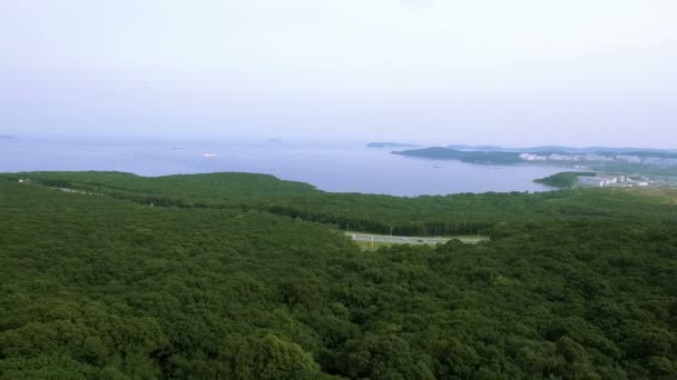 Un plan aérien de la baie de l'océan Pacifique — Video