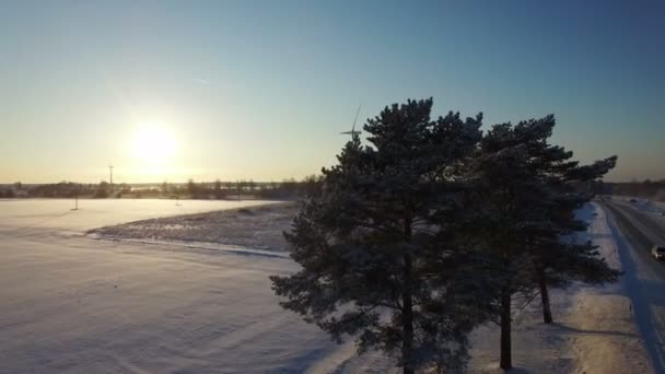 Wind turbines in frozen water, offshore park for energy — Stock Video