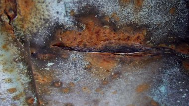 Satır donuk yuvarlak Nobs