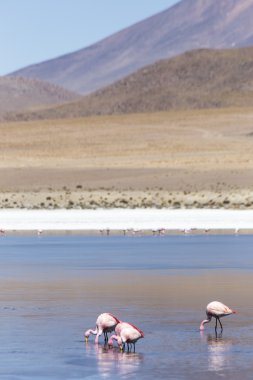 Bolivya üzerinden çöller göller