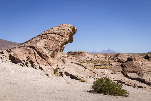 Landschaften aus Bolivien — Stockfoto