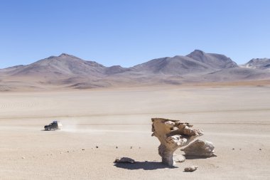 Taş ağaç Dali çölünde, Bolivya