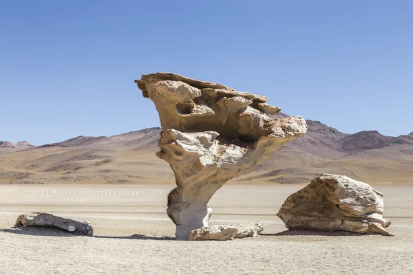 Steinbaum in der Wüste Dali, Bolivien — Stockfoto