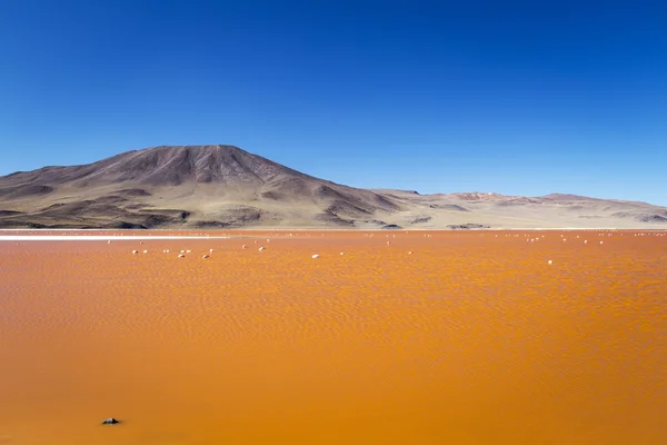 Roter See in Bolivien — Stockfoto