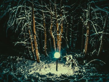 Karlar diyarı. Karla kaplı ağaçlar. Geceleri fener. Kışın fener. Akşam karında bir lamba. Dehşetten karanlık orman. Işık karanlığa nüfuz eder. Geceleri soğuk kış. Kışın karanlık orman.