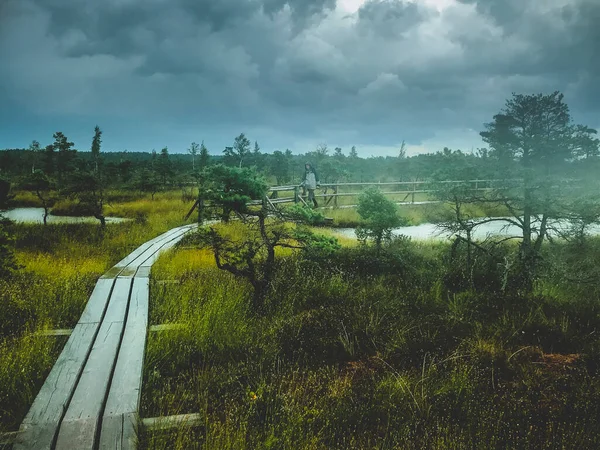 湿地帯の霧の道 木製の道 泥炭地の袋に雨 嵐の間の孤独な観光客 — ストック写真