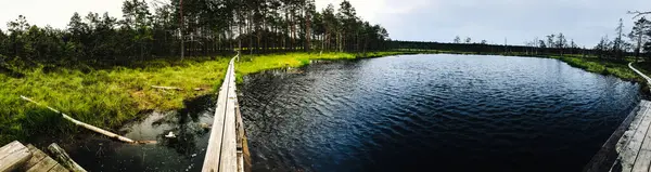 湿地帯の道路 エストニアの沼のパノラマ 草原の小さな湖 沼の美しい風景 — ストック写真