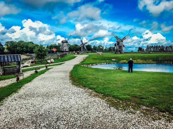 Sarema Väderkvarnsby Gamla Träväderkvarnar Estland Mörka Väderkvarnar Staden Angla Tuulikud — Stockfoto