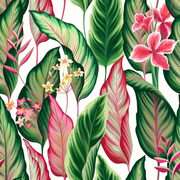 Patterm Floral Sans Couture Avec Feuilles Tropicales Kanna — Image vectorielle