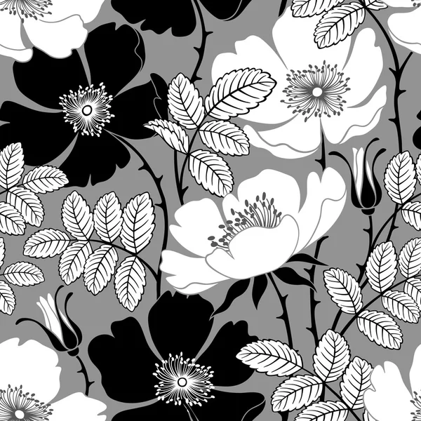 Modèle floral sans couture — Image vectorielle