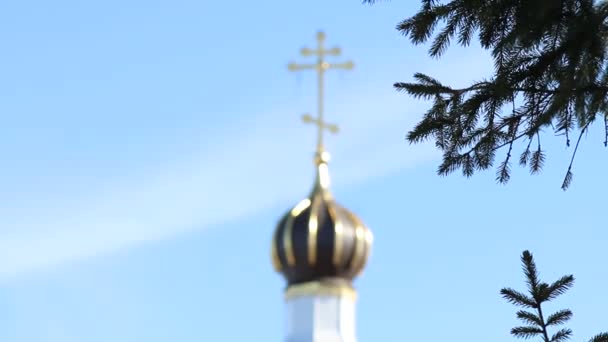 Rybinsk kaplicy św. — Wideo stockowe