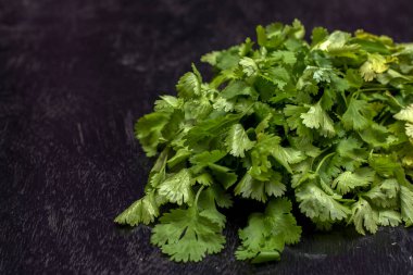 Taze yeşil organik kişniş yaprakları tüm Hint mutfağı için mükemmel. Seçici odak.