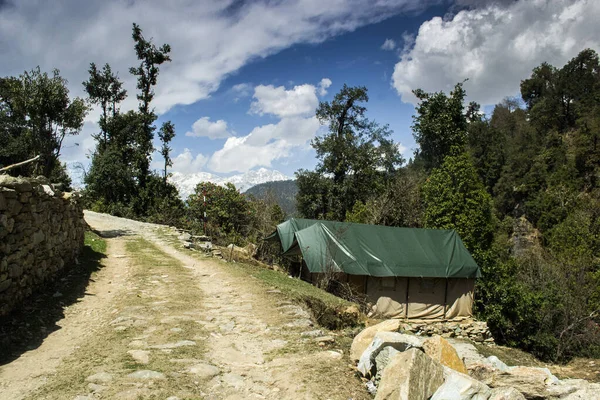 Dağ yolu mavi gökyüzü ve kar kaplı iki lüks çadır ile kıvrılır.