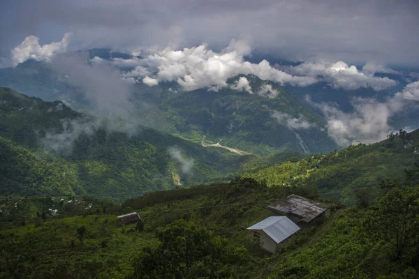 Vale Montanha Com Muitas Nuvens Pinheiros Verdes — Fotografia de Stock