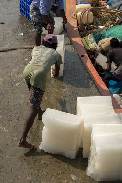 09 Ocak 2021 'de. Fresergunj, Batı Bengal, Hindistan. Bir balıkçı tekneye bir buz parçası itiyor. Bu da denize açılmadan önceki hazırlığın bir parçası..