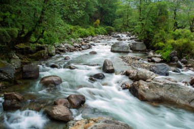 Uttarakhand 'ın küçük bir köyünde kayaların ve ormanın içinden akan hızlı dağ nehri manzarası..