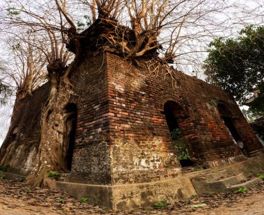 Eski bir binanın panoramik manzarası eski bir ağaçla harabeye dönmüş. Seçici odak.