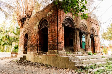 Bir sürü eski bina eski bir ağaçla harabeye dönmüş. Seçici odak.