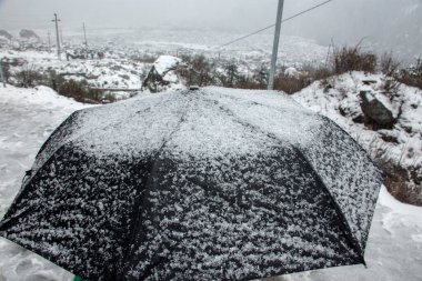 Şemsiyeye seçici odaklı taze kar.
