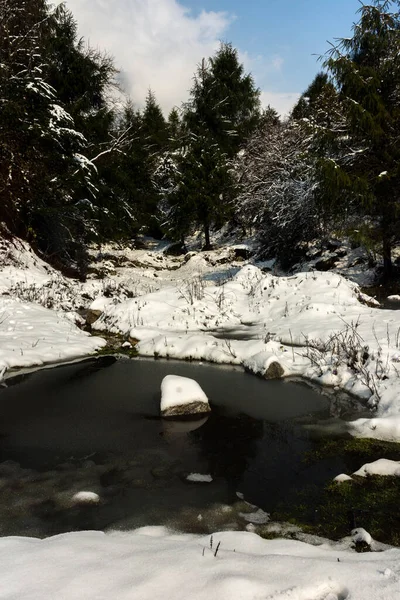 Yumthang Vadisi, Sikkim, Hindistan 'da kayalar üzerinde taze kar ve arka planda güzel ağaçlar olan küçük su gövdesi. Seçici odak.