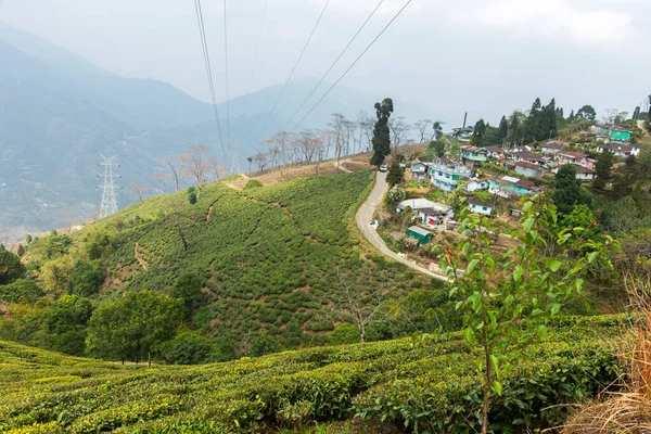 Ein Kleines Dorf Neben Dem Üppig Grünen Teegarten Von Darjeeling — Stockfoto