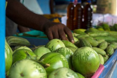Plastik tepside diğer sebzelerle birlikte satılık taze organik brinjal veya yumurta bitkisi. Seçici odak.