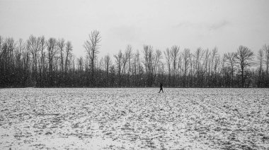 Montreal 'de karlı bir gün