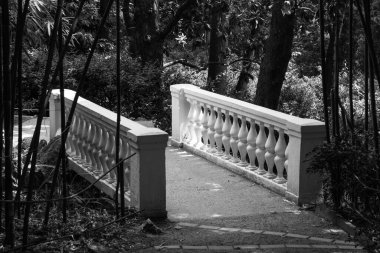 Parkta küçük bir köprü.