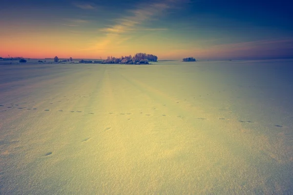 Paisagem vintage de campo de inverno — Fotografia de Stock