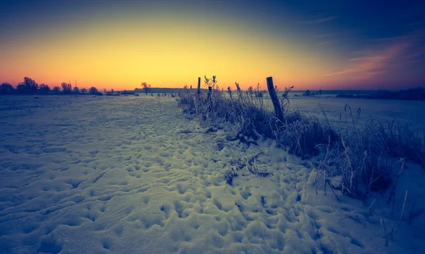 Vintage landschap van winter veld — Stockfoto