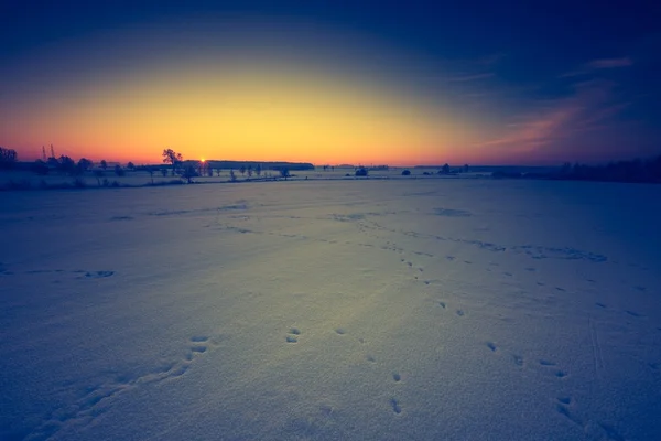 Paisagem vintage de campo de inverno — Fotografia de Stock