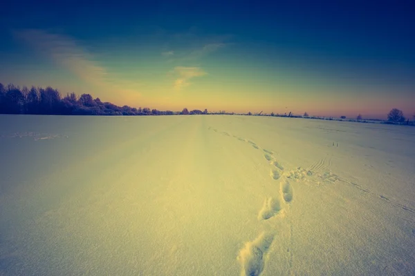 Paisagem vintage de campo de inverno — Fotografia de Stock