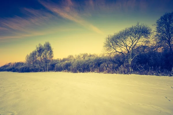 Vintage landscape of winter field — Stock Photo, Image