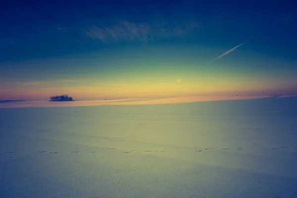 Vintage landscape of winter field — Stock Photo, Image