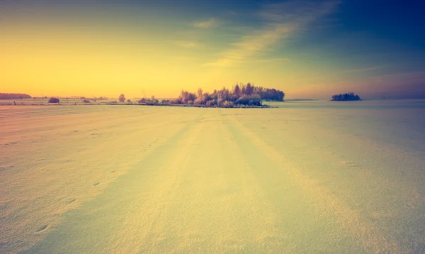 Paisaje vintage de campo de invierno — Foto de Stock