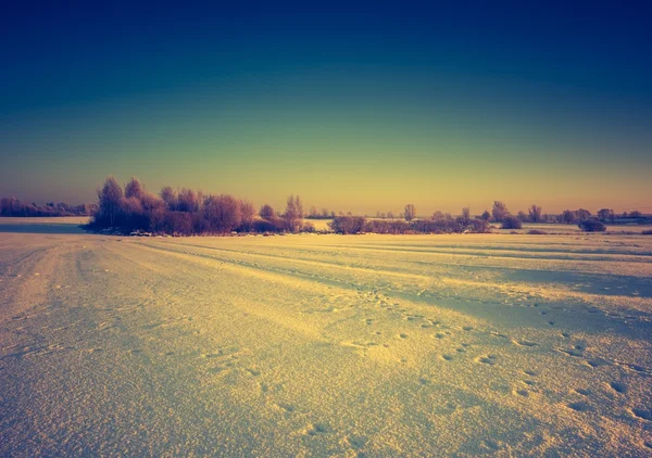 Vintage landscape of winter field — Stock Photo, Image
