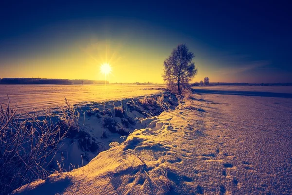 Paisagem vintage de campo de inverno — Fotografia de Stock