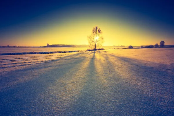 Paisagem vintage de campo de inverno — Fotografia de Stock