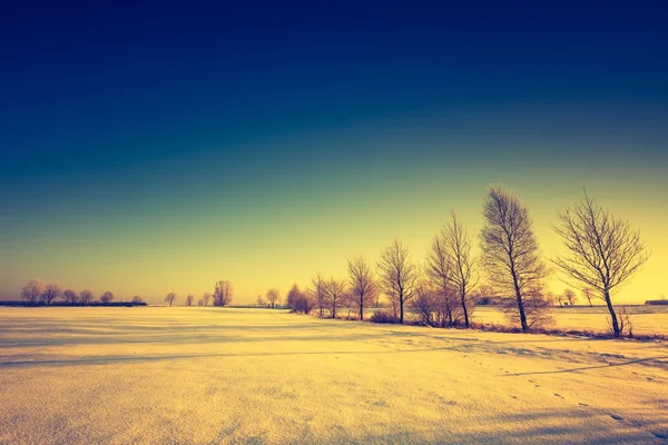 Paisagem vintage de campo de inverno — Fotografia de Stock