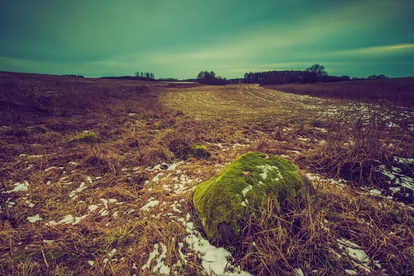 Paisagem vintage de campo de inverno — Fotografia de Stock