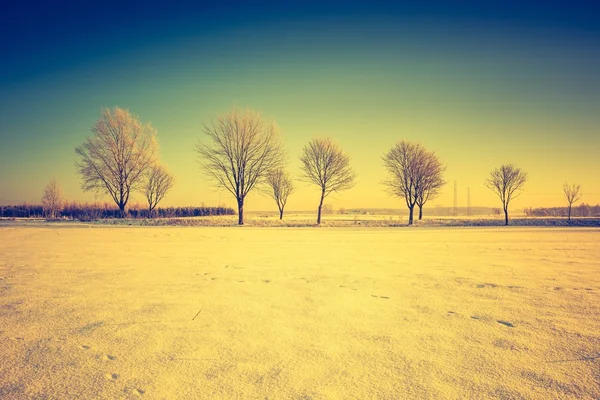 Paisagem vintage de campo de inverno — Fotografia de Stock