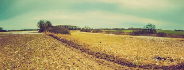 Vintage landscape of winter field — Stock Photo, Image