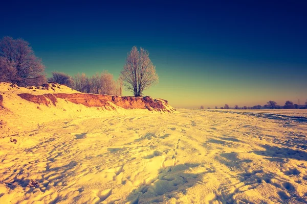 Paisagem vintage de campo de inverno — Fotografia de Stock